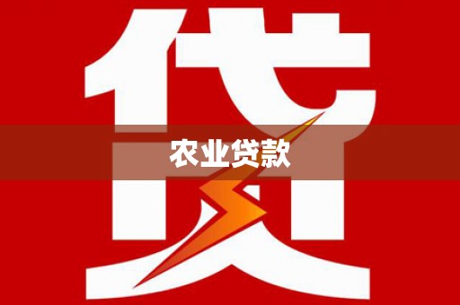 松北农业贷款