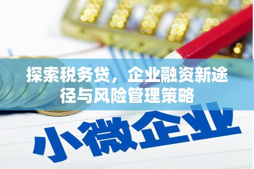 松北探索税务贷，企业融资新途径与风险管理策略