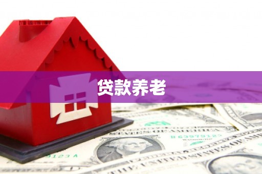 松北贷款养老