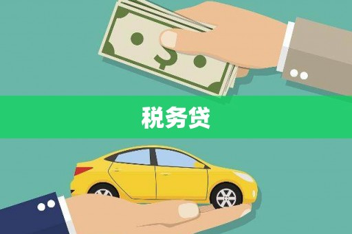 松北税务贷