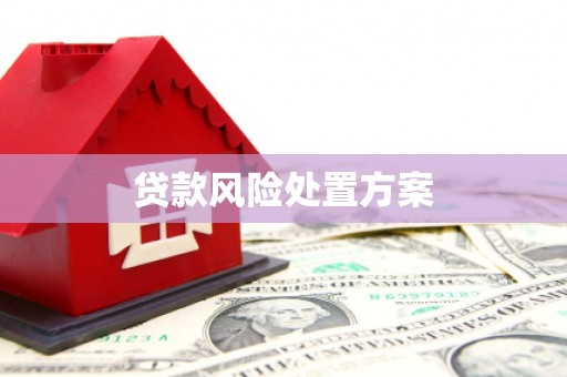 松北贷款风险处置方案