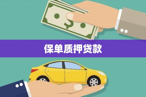 松北保单质押贷款