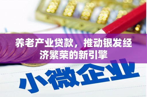 松北养老产业贷款，推动银发经济繁荣的新引擎