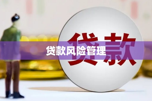 松北贷款风险管理