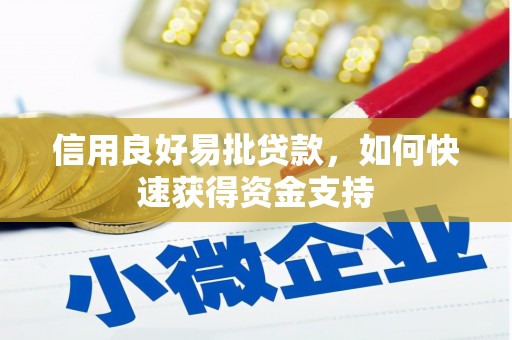 松北信用良好易批贷款，如何快速获得资金支持