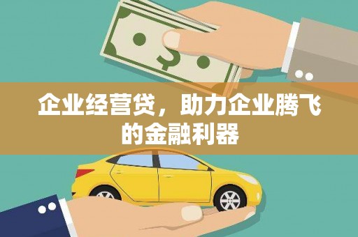 松北企业经营贷，助力企业腾飞的金融利器