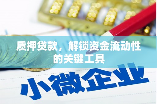 松北质押贷款，解锁资金流动性的关键工具