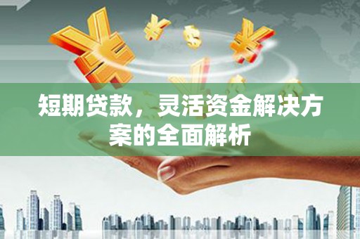 松北短期贷款，灵活资金解决方案的全面解析