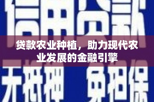 松北贷款农业种植，助力现代农业发展的金融引擎