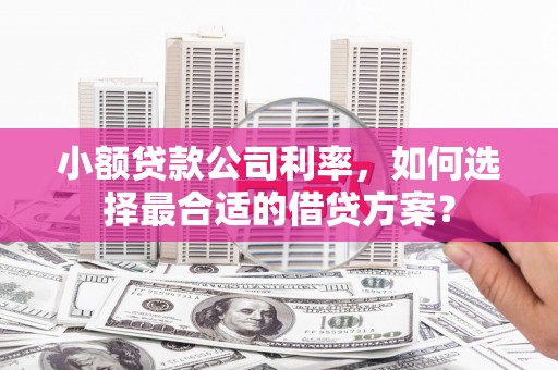 松北小额贷款公司利率，如何选择最合适的借贷方案？
