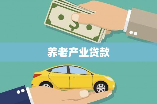 松北养老产业贷款