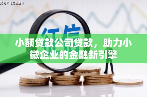 松北小额贷款公司贷款，助力小微企业的金融新引擎