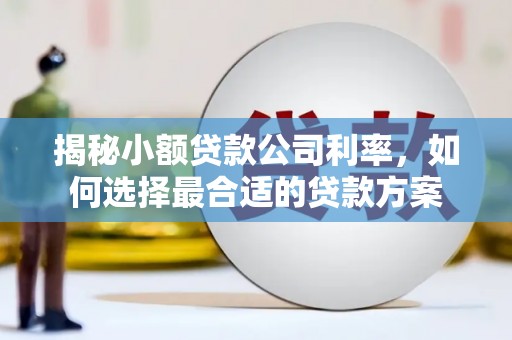 松北揭秘小额贷款公司利率，如何选择最合适的贷款方案