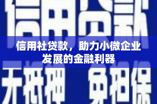 松北信用社贷款，助力小微企业发展的金融利器
