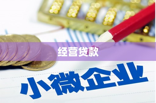 松北经营贷款