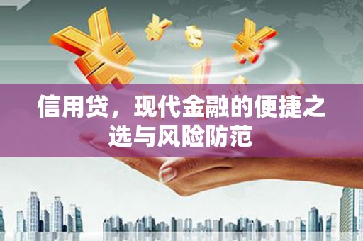 松北信用贷，现代金融的便捷之选与风险防范