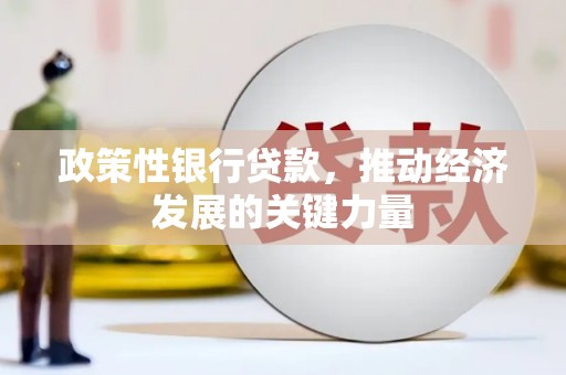 松北政策性银行贷款，推动经济发展的关键力量