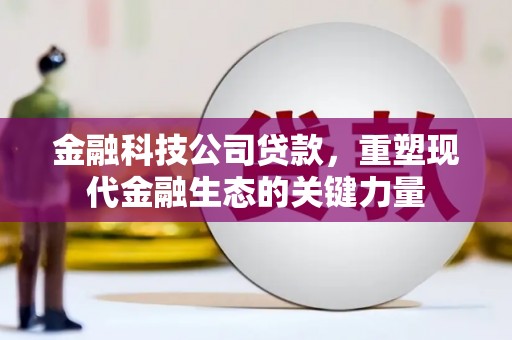 松北金融科技公司贷款，重塑现代金融生态的关键力量