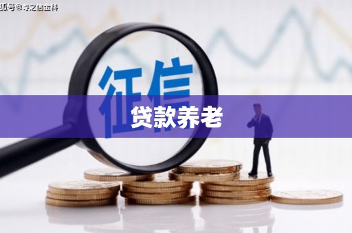 松北贷款养老