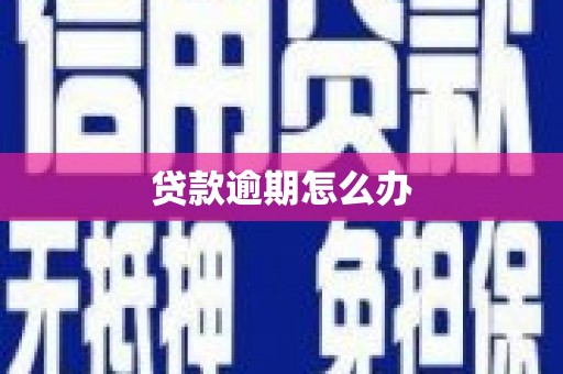 松北贷款逾期怎么办