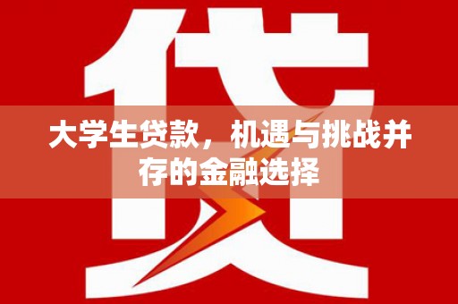松北大学生贷款，机遇与挑战并存的金融选择