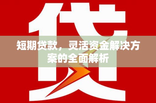 松北短期贷款，灵活资金解决方案的全面解析