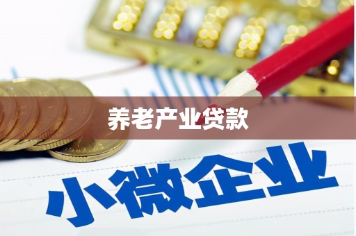 松北养老产业贷款