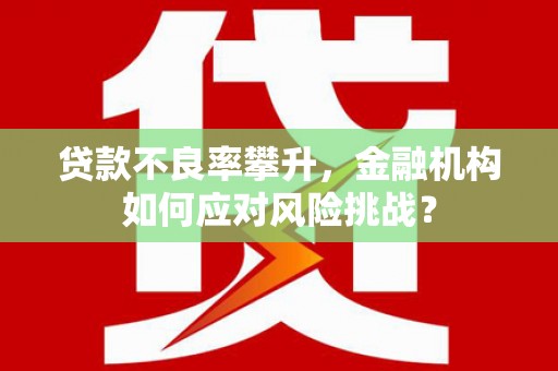 松北贷款不良率攀升，金融机构如何应对风险挑战？