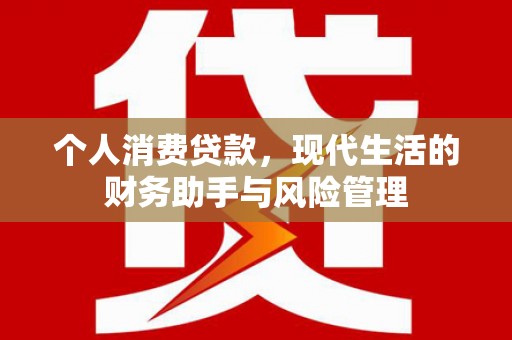 松北个人消费贷款，现代生活的财务助手与风险管理
