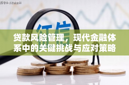 松北贷款风险管理，现代金融体系中的关键挑战与应对策略