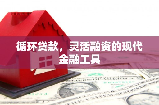 松北循环贷款，灵活融资的现代金融工具