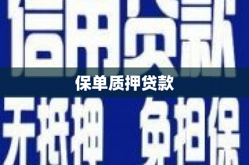 松北保单质押贷款