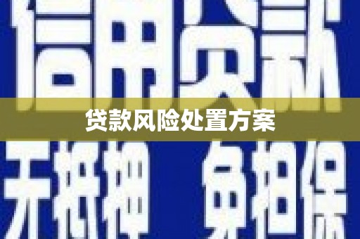 松北贷款风险处置方案