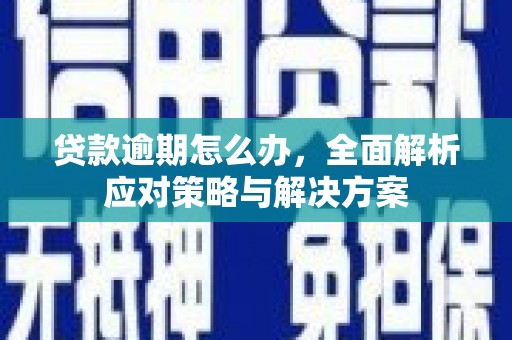 松北贷款逾期怎么办，全面解析应对策略与解决方案