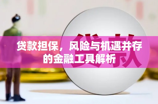 松北贷款担保，风险与机遇并存的金融工具解析