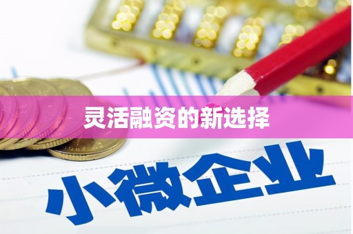 松北灵活融资的新选择
