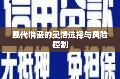 松北现代消费的灵活选择与风险控制