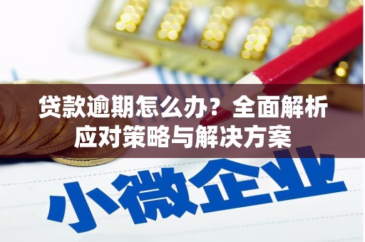松北贷款逾期怎么办？全面解析应对策略与解决方案