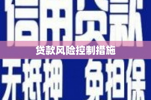 松北贷款风险控制措施