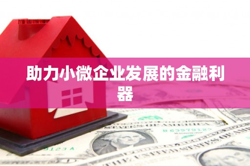 松北助力小微企业发展的金融利器