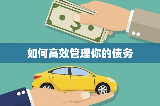 松北如何高效管理你的债务