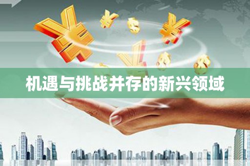 松北机遇与挑战并存的新兴领域