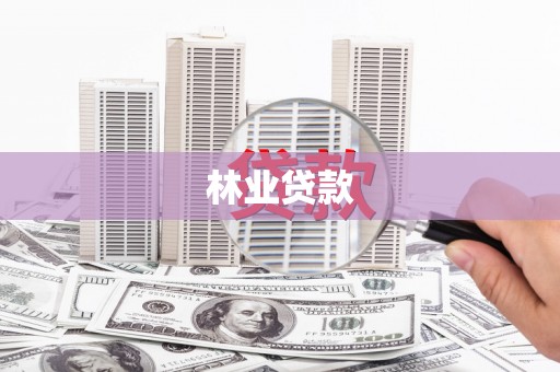 松北林业贷款