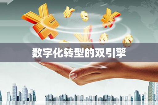 松北数字化转型的双引擎