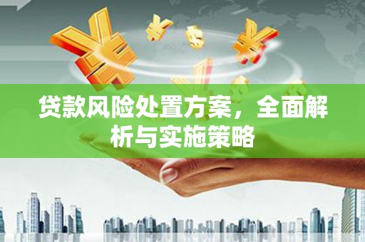 松北贷款风险处置方案，全面解析与实施策略