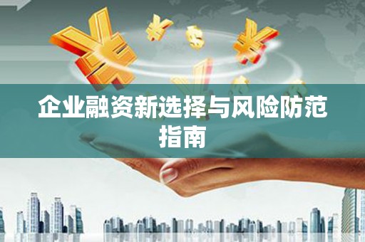 松北企业融资新选择与风险防范指南