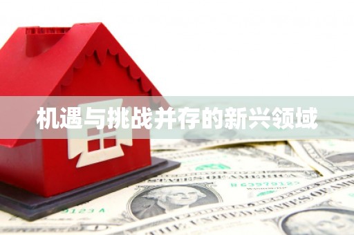 松北机遇与挑战并存的新兴领域