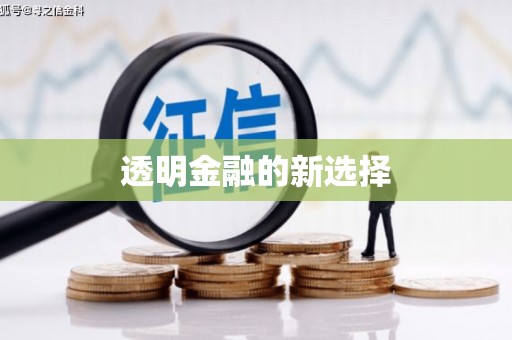 松北透明金融的新选择