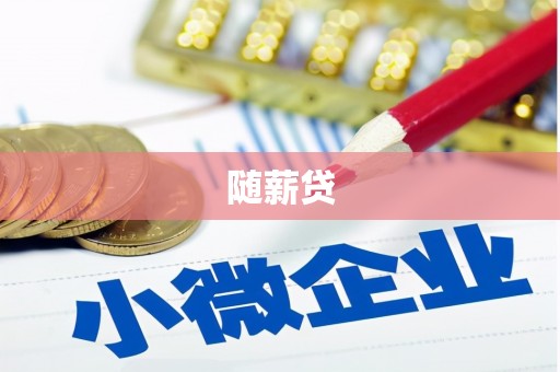 松北随薪贷