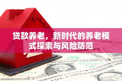 松北贷款养老，新时代的养老模式探索与风险防范